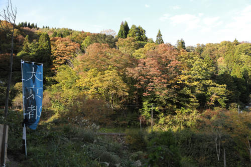 kyotango2020 tanaka013