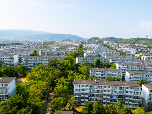 yawata miyamoto09