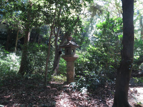 yawata shinobu02