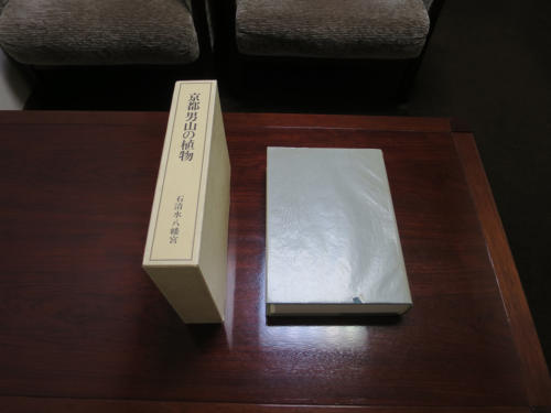 yawata shinobu04
