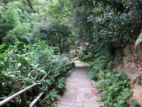 yawata shinobu05