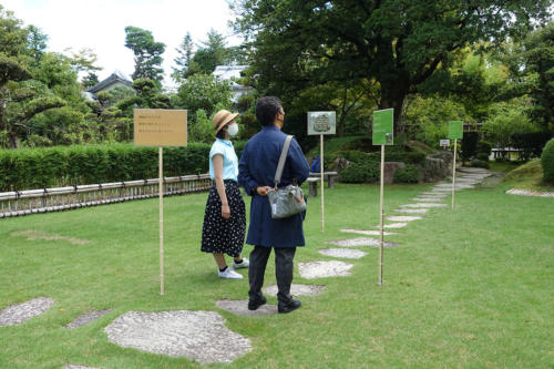 yawata shinobu12